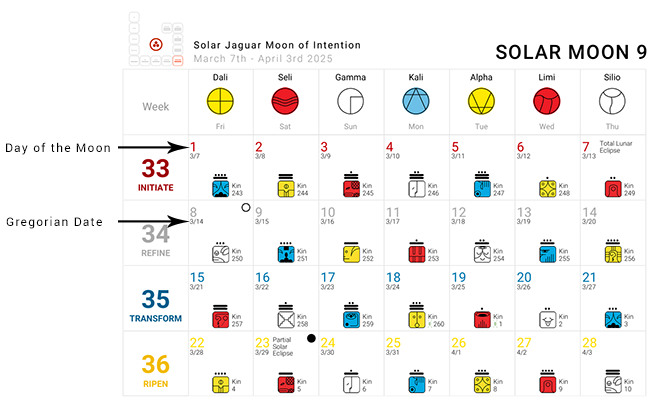 Synchronometer Example